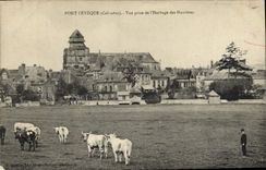 CPA Pont L'Eveque Vue prise de l'herbage des Hunieres Vaches