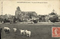 CPA Pont L'Eveque Vue prise de l'herbage des Hunieres Vaches