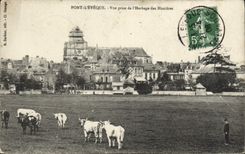 CPA Pont L'Eveque vue prise de l'herbage des Hunieres Vaches