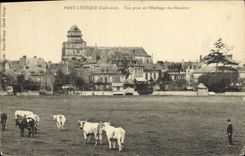 CPA Pont L'Eveque vue prise de l'herbage des Hunieres Vaches