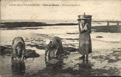 VINTAGE POSTCARD Scenes of the life Norman port in bessin TOP Fishes