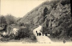 CPA L'Orne pittoresque pont chemin de pont d'ouilly a Pont des Vers