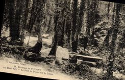 CPA Environs de Potigny Au Mont Joly Le pont de pierre sur le Lairon 