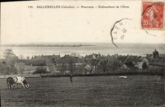 CPA Sallenelles Panorama Embouchure de l'Orne Vache