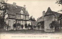 VINTAGE POSTCARD Surroundings De Lisieux Castle of the Mount to the Vine