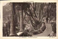 CPA Monaco Jardins Exotiques