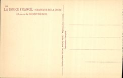 CPA Chateaux De La Loire Chateau Montresor