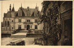 Castillo de Loire ch4ateau de la POSTAL de la VENDIMIA de Chenonceaux