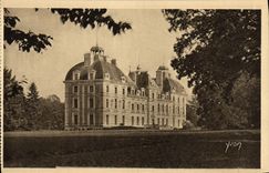 CPA Chateaux De La Loire Chateau Cheverny