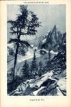 CPA Chamonix Mont Blanc Aiguille du Dru