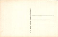 VINTAGE POSTCARD Chamonix Mont Blanc Pratz