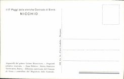 VINTAGE POSTCARD Paggi delle storiche Contrade di Siena Nicchio