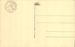 CPA Paris Hotel des Invalides Musee de l'Armee Salle Napoleon Portrait de l'Empereur 