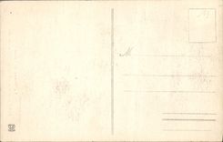 VINTAGE POSTCARD New Lampy the landing stage