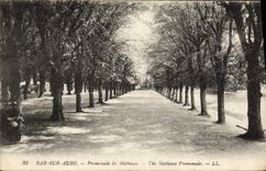 VINTAGE POSTCARD Bar on Paddle Walk of Mathaux