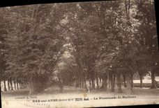 VINTAGE POSTCARD Bar on Paddle the Walk of Mathaux