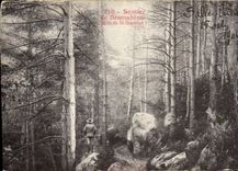 CPA Sentier de bramabiau Bois de St Sauveur