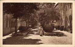CPA Saint Michel De Frigolet Les Allees de l'Abbaye Pleines De lumieres et d'ombre