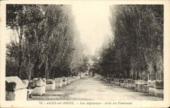 CPA Arles Sur Rhone Les Alyscamps Allee Des Tombeaux