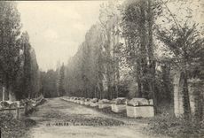 CPA Arles Les Aliscamps L'Allee Des Tombeaux
