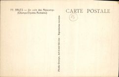 POSTAL Arles de la VENDIMIA una esquina de Alyscamps