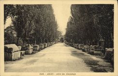 CPA Arles Allee Des Aliscamps