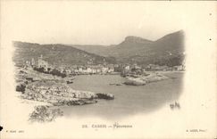 VINTAGE POSTCARD Blackcurrant Panorama