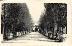CPA Arles Les alyscamps Allee des tombeaux