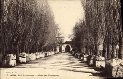 CPA Arles Allee des Tombeaux