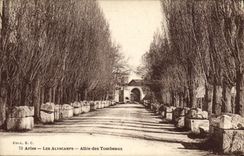 CPA Arles Les Alyscamps Allee des tombeaux