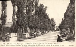 CPA Arles Les Alyscamps L'Allee des Tombeaux