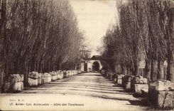 CPA Arles Les Alyscamps Allee des Tombeaux