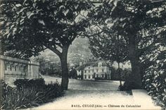 VINTAGE POSTCARD Culoz Castle of the Dovecote