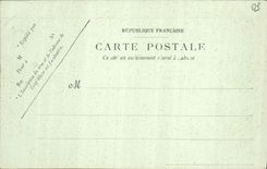 CPA Vichy Le Nouveau Parc Le Bassin des Cygnes 