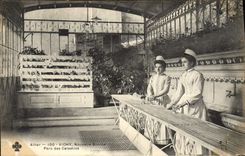 VINTAGE POSTCARD Vichy News Park Source of Celestins