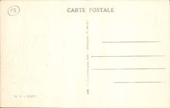 CPA Vichy Entree du nouvel Etablissement Thermal 2eme classe 