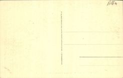 VINTAGE POSTCARD Vichy In the New Parks Basin of the Swans