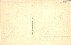 CPA Vichy Dans les Nouveaux Parcs Peupliers Geants