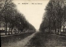VINTAGE POSTCARD Moulins Gone of the Cakes