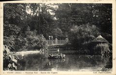 CPA Vichy Nouveau Parc Bassin Des Cygnes