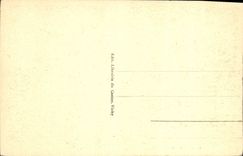 CPA Vichy Dans Les Nouveaux Parcs