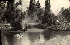 MODERN CARD Vichy the Park Swan