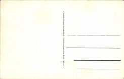 VINTAGE POSTCARD Vichy Orangery of Cetestins