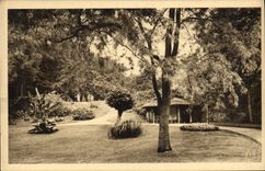 CPA Vichy Le Parc Des Celestins