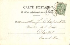 CPA Vichy Le Lac Au Grand Parc Cygnes