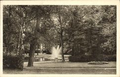 CPA Vichy Nouveau Parc Bassin des cygnes