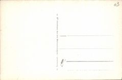 VINTAGE POSTCARD Vichy the Garden of the park