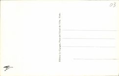 CPA Vichy Parc Et Source Des Celestins