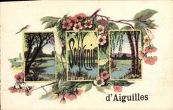 VINTAGE POSTCARD To remember of Needles