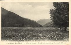 CPA La Route Des Alpes Vallee Du Queyras Pres Fleuris Au Printemps